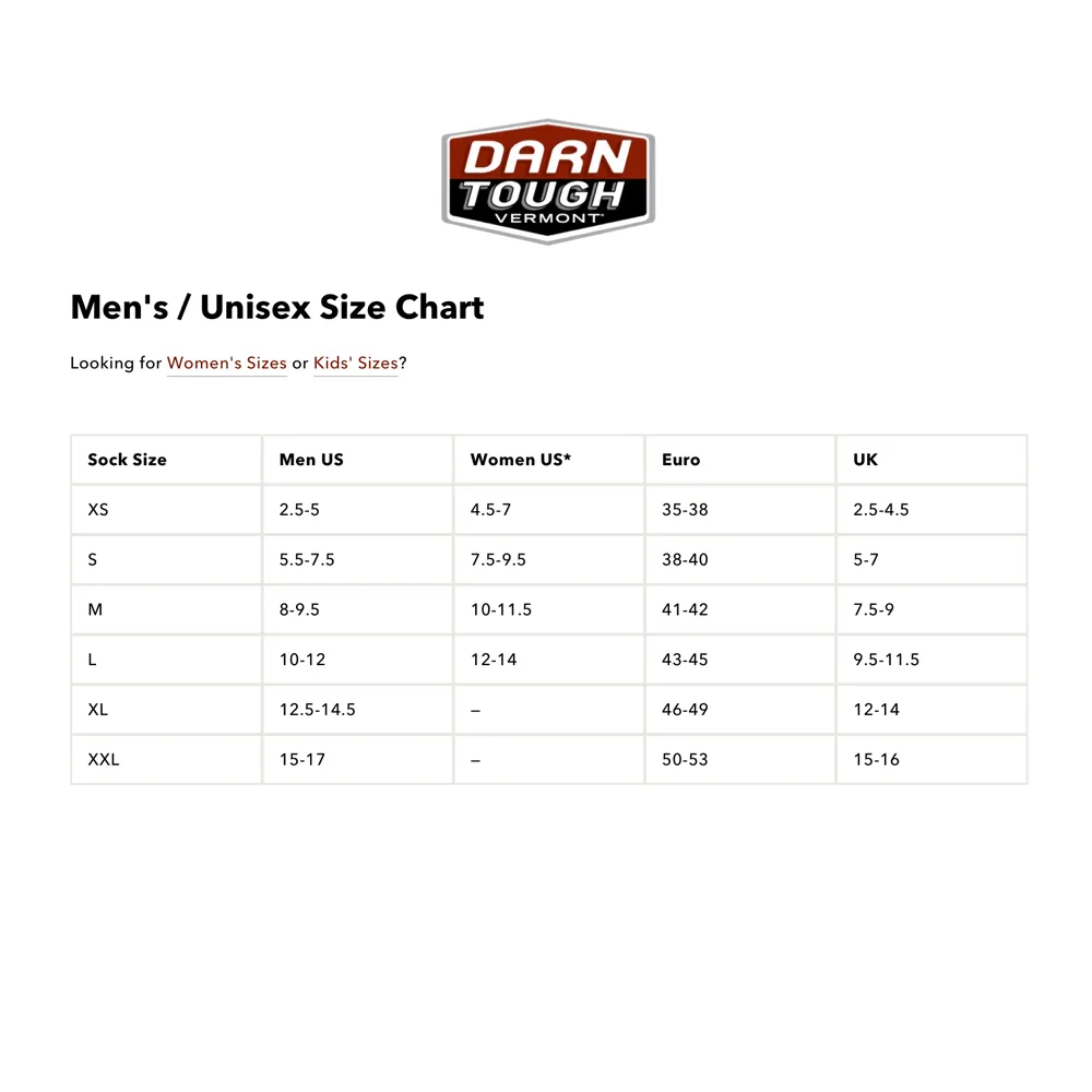 Darn Tough Men's Steely No Show Tab Lightweight Work Sock in Gravel