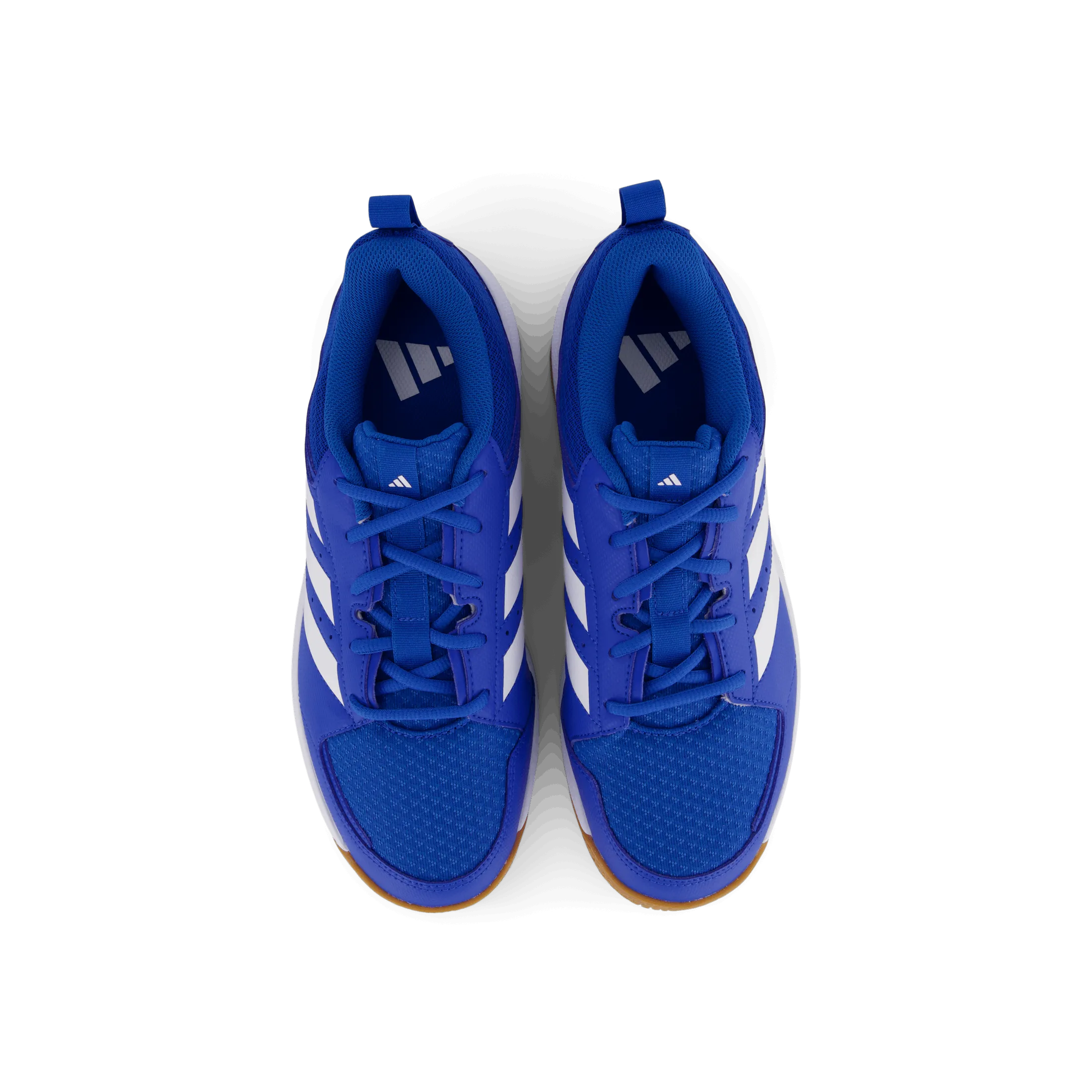 Ligra 7 Indoor Shoes Bright Royal