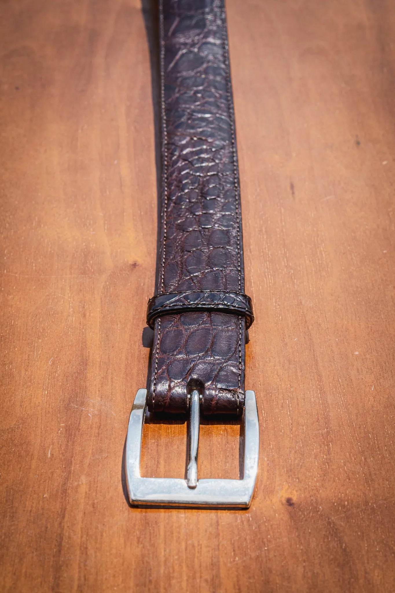The Glades Belt - Alligator