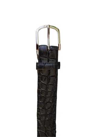 The Glades Belt - Alligator